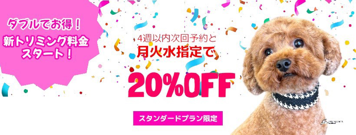 スタンダードプラン限定キャンペーン 月火水＋次回予約で20％OFF