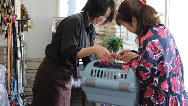 サービスの流れ