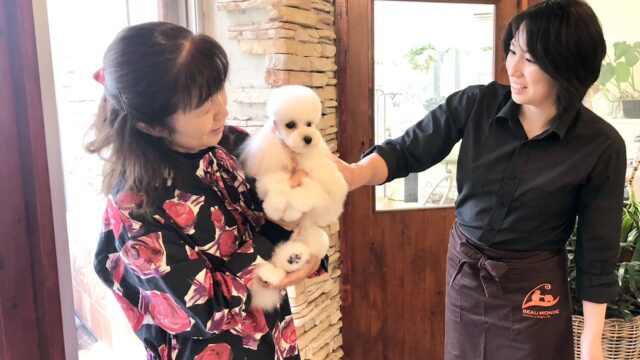 サービスの流れ