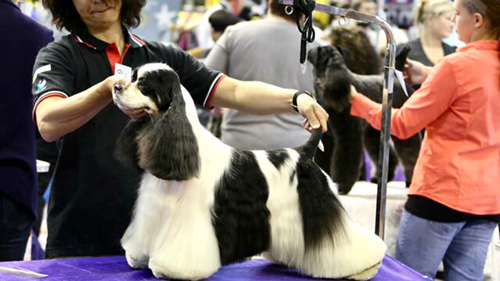 オーナー山中の実績