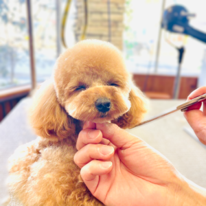 安心してお越しいただけるサロン