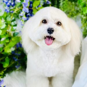 安心してお越しいただけるサロン