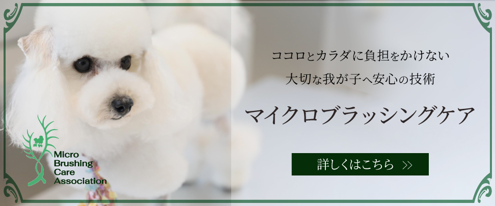マイクロブラッシングケア