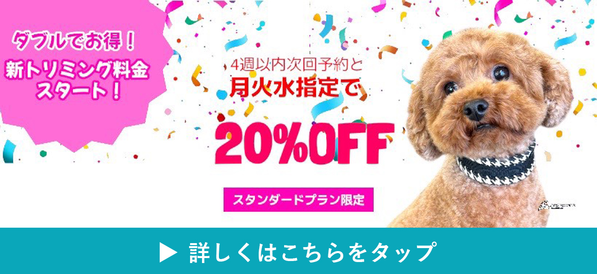 月火水スタンダードプラン限定キャンペーン